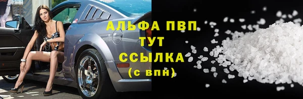 стаф Медногорск