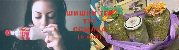 стаф Медногорск