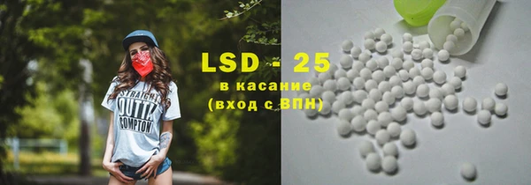 стаф Медногорск