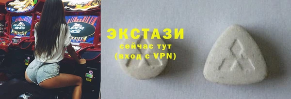 стаф Медногорск