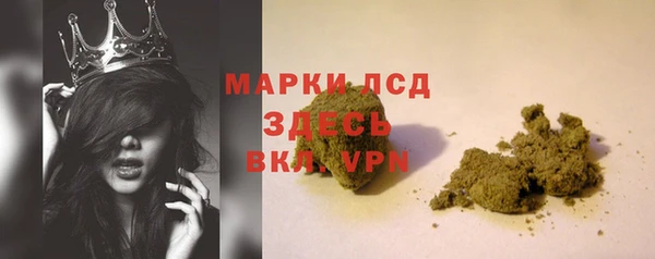 стаф Медногорск