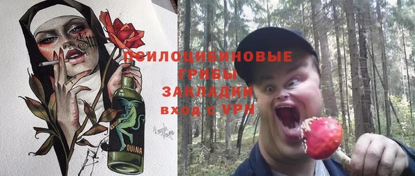 mdpv Медвежьегорск