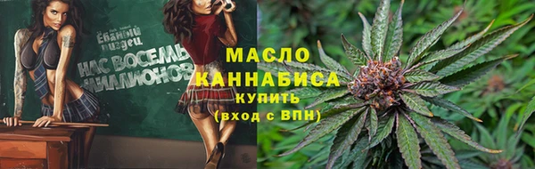 стаф Медногорск