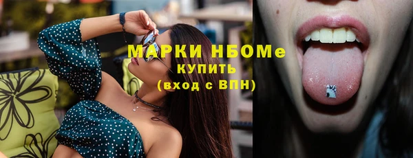 индика Бежецк