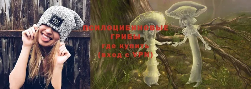 Псилоцибиновые грибы Magic Shrooms  Емва 